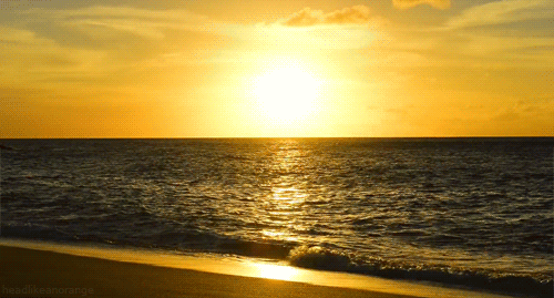 tumblr_mtmlv3913W1r4zr2vo1_r1_500[1].gif