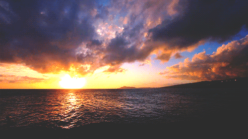 tumblr_static__640_v2[1].gif