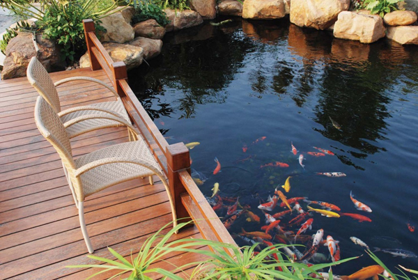 types-of-ponds-koi-pond[1].jpg