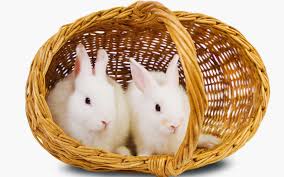 upload_2016-9-26_14-7-26.jpeg
