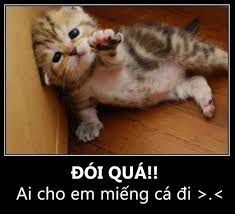 upload_2017-3-21_17-33-57.jpeg