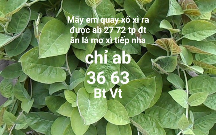 upload_2023-11-13_21-52-51.png