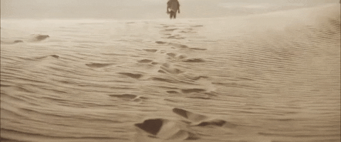upload_2023-4-24_20-24-3.gif