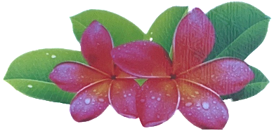 upload_2024-10-13_21-48-29.png