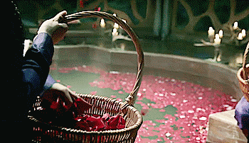 upload_2025-11-2_21-47-25.gif