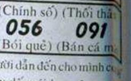 upload_2025-9-7_18-9-40.png