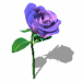 violet_rose_animation.GIF