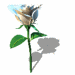 white_rose_rotate_animation.GIF