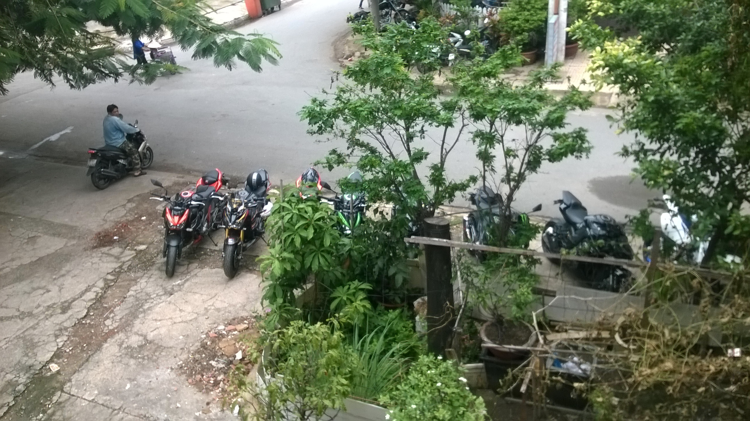 WP_20150809_001-2.jpg