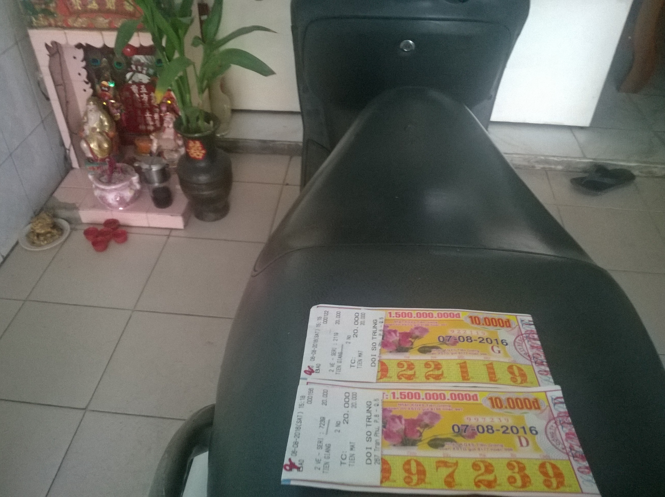 WP_20160807_001.jpg