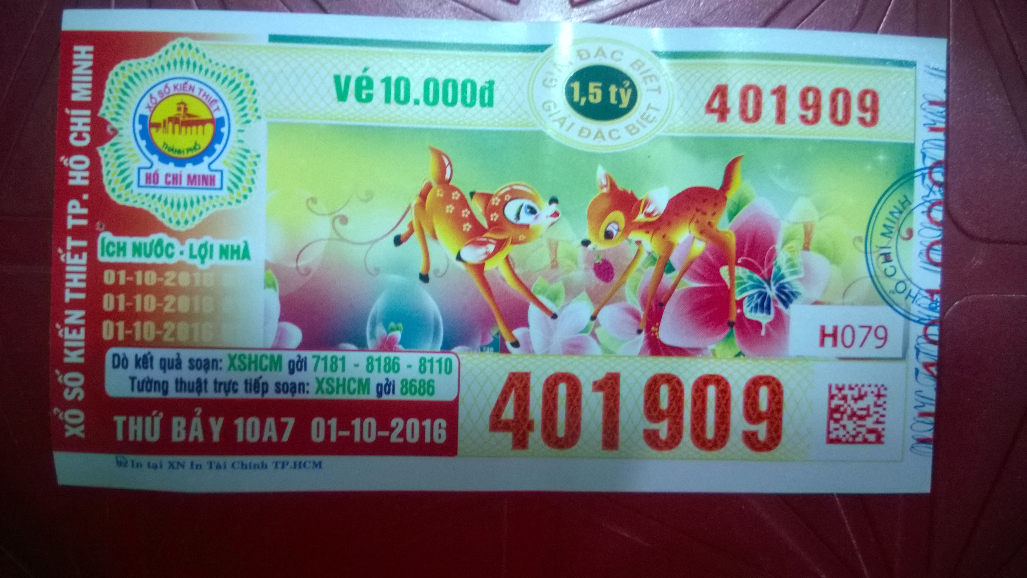 WP_20160930_004.jpg