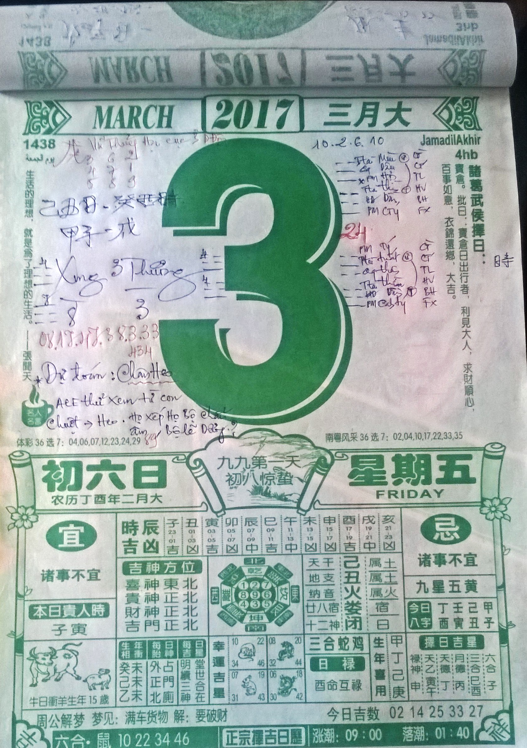 WP_20170303_10_18_39_Pro (2).jpg