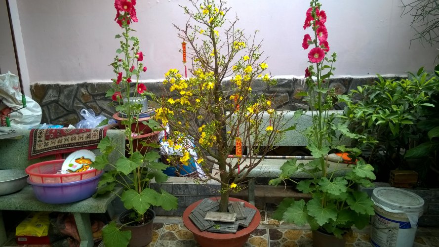 WP_20180215_10_14_39_Pro_LI.jpg