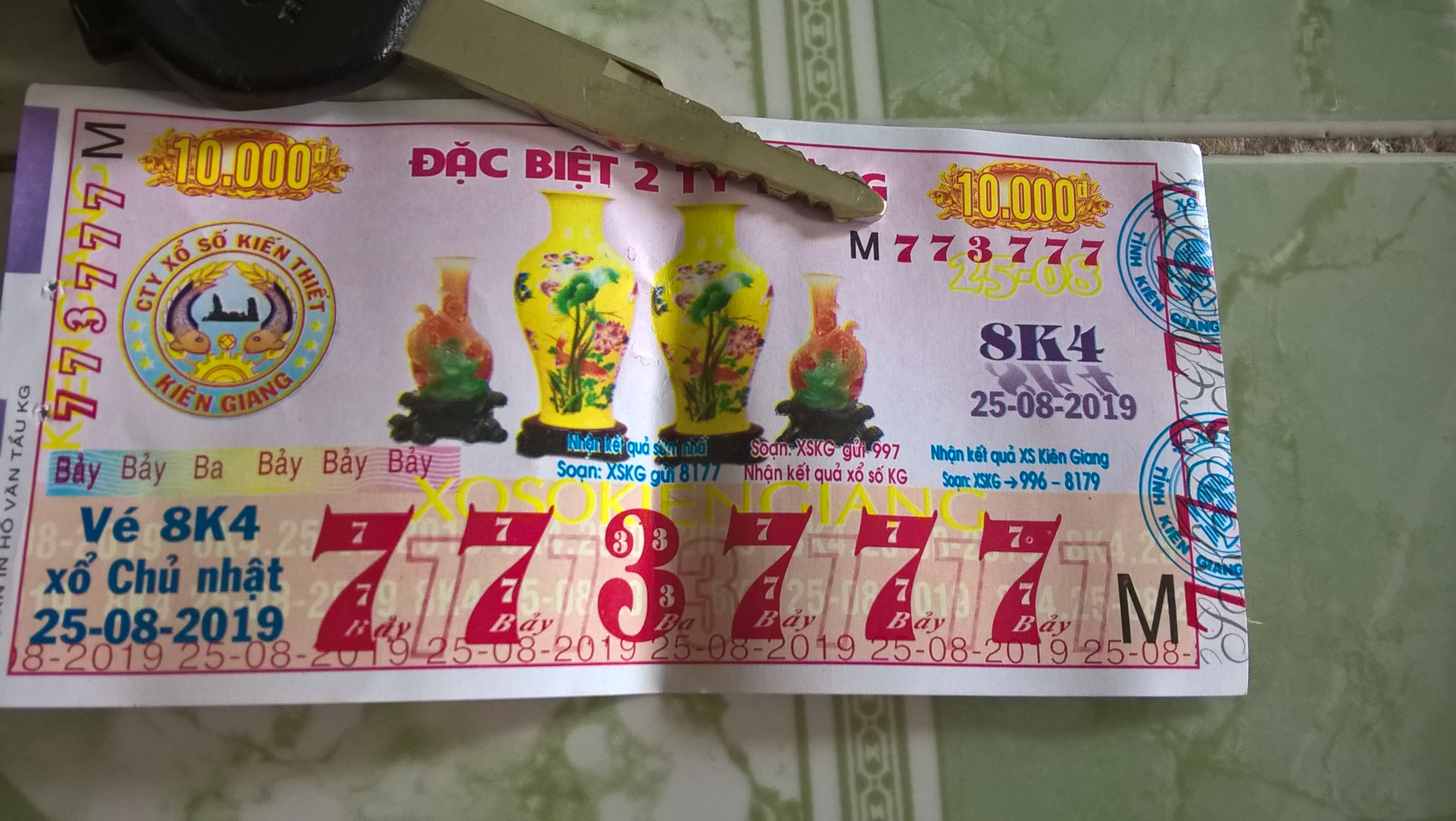 WP_20190825_13_07_10_Pro.jpg