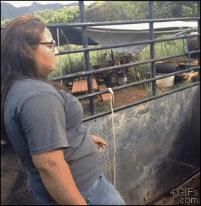xengallery_photos_l_86592_d839a00bbfb5c7023a72c260caa04f19.gif