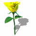 yellow_flower_rotate_animation.GIF