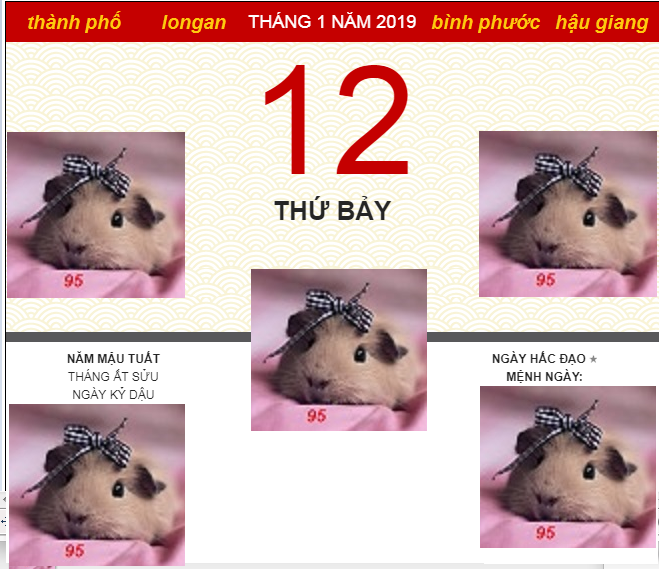 zz.PNG