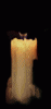 Candle-03-june.gif