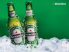 heineken_071.jpg