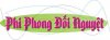 phi phong doi nguyet.jpg