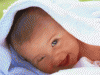 IMG_6638.GIF
