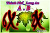 thanh pho _long an copy.jpg