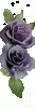 1152984vvqorbqbwh.gif