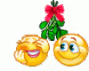 animaatjes-smilies-59755.gif