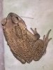 WP_20180406_21_38_34_Pro.jpg