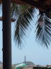 IMG20180416113015.jpg