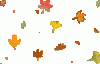 177723dqvv9lsxoc.gif