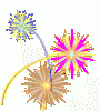 feuerwerk-0035.gif