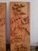 IMG_20131015_114007.jpg
