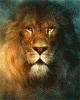 avatar345309_19.gif