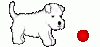 dogs-1274.gif