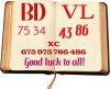 BD-VL.jpg