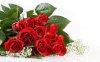 red+roses+pictures+free+download.jpg