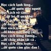 tan vỡ.jpg