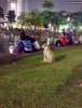 i2fun.com-funny-asians-p176-069.jpg