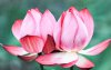 upload_2023-3-4_23-27-18.png