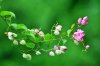 upload_2023-3-4_23-53-35.png