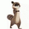 sooc.gif
