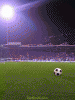 soccer240x320.gif