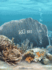 aqua240x320.gif