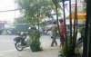 IMG_20140505_111405~2.jpg
