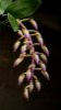 upload_2023-6-17_21-22-41.png