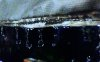 upload_2023-6-22_21-51-19.png