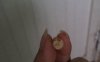IMG_3669.jpeg