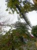 IMG_20250915_063927.jpg