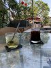 IMG_2855.jpeg